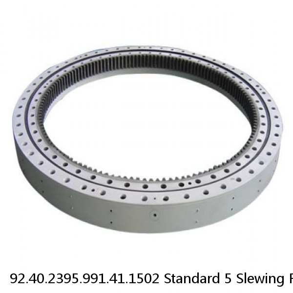92.40.2395.991.41.1502 Standard 5 Slewing Ring Bearings #1 small image