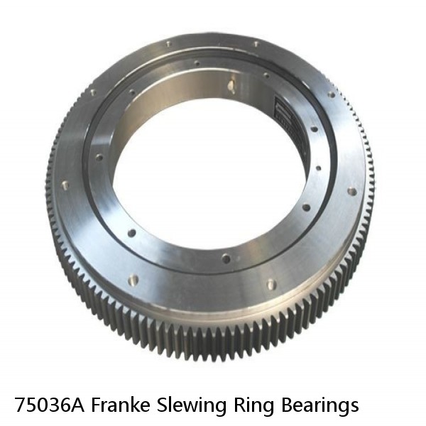 75036A Franke Slewing Ring Bearings #1 small image