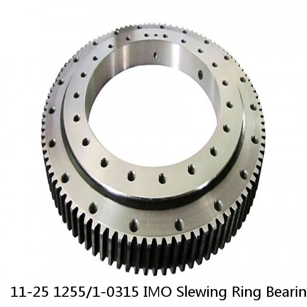 11-25 1255/1-0315 IMO Slewing Ring Bearings