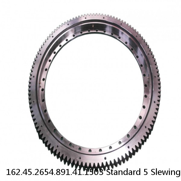 162.45.2654.891.41.1503 Standard 5 Slewing Ring Bearings #1 image