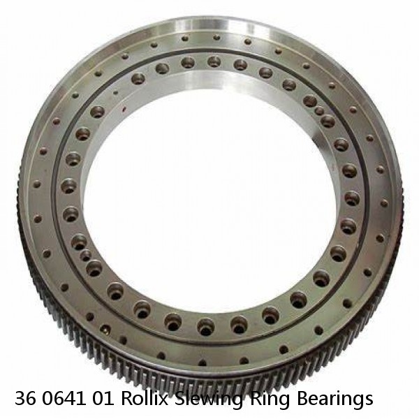 36 0641 01 Rollix Slewing Ring Bearings #1 image