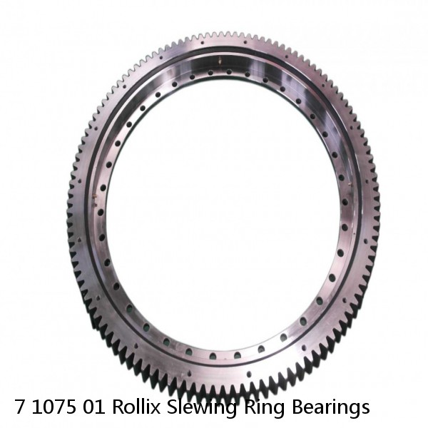 7 1075 01 Rollix Slewing Ring Bearings #1 image