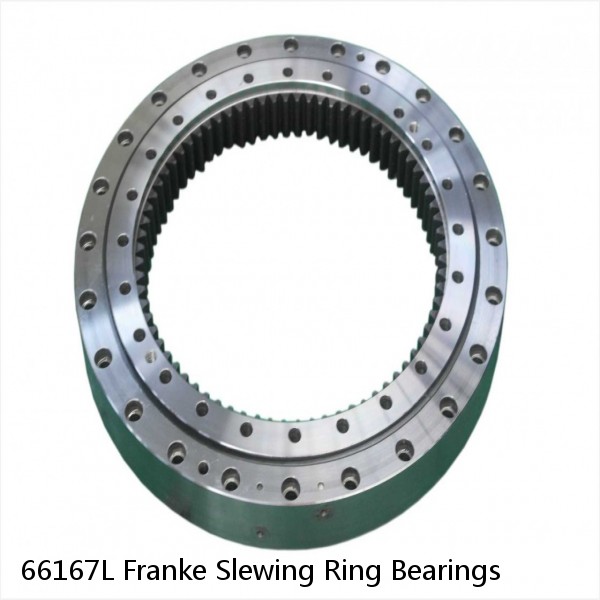 66167L Franke Slewing Ring Bearings #1 image