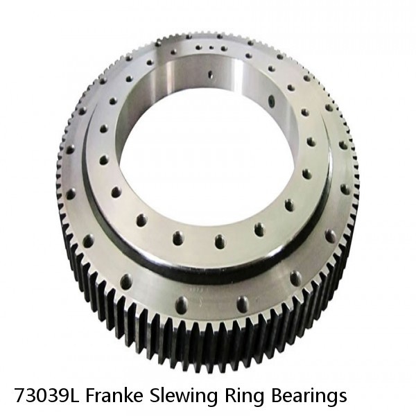 73039L Franke Slewing Ring Bearings #1 image