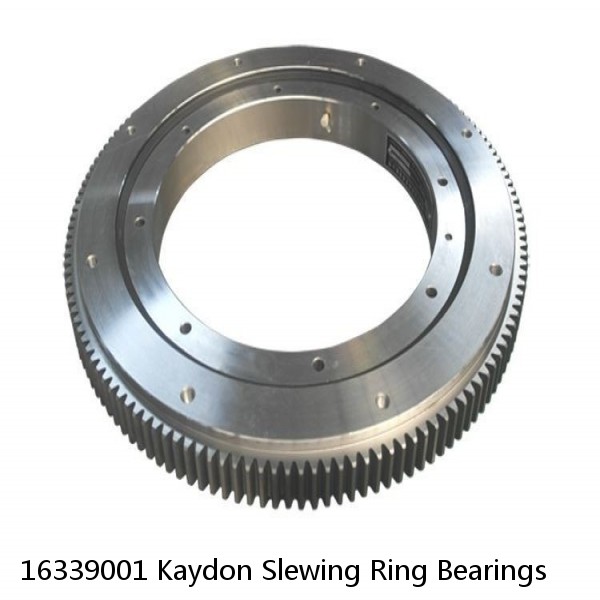 16339001 Kaydon Slewing Ring Bearings #1 image
